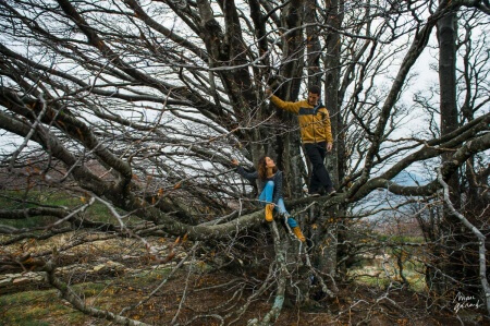 Photo engagement couple automne béziers