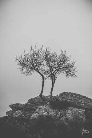 Photo engagement couple automne béziers