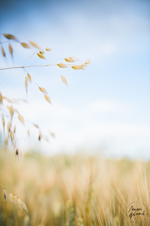 Séance photo bohème Béziers - Mathilde