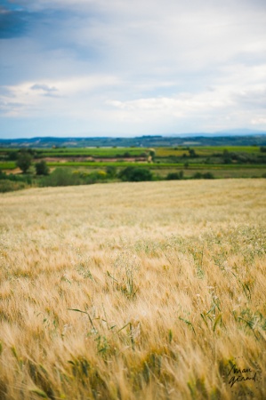 Séance photo bohème Béziers - Mathilde