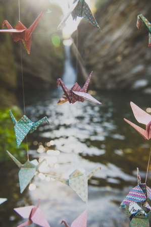 Séance photo engagement Hérault : Alexie et JM