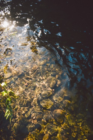 Séance photo engagement Hérault : Alexie et JM
