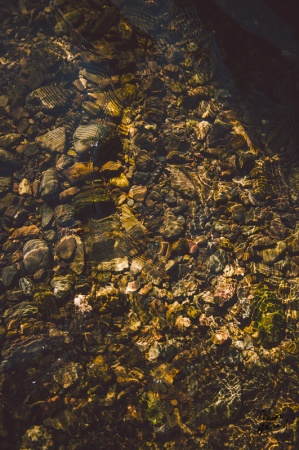 Séance photo engagement Hérault : Alexie et JM