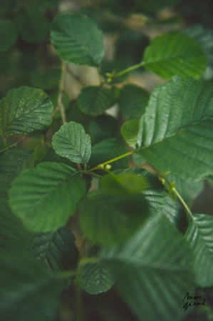 Séance photo engagement Hérault : Alexie et JM
