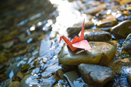 Séance photo engagement Hérault : Alexie et JM
