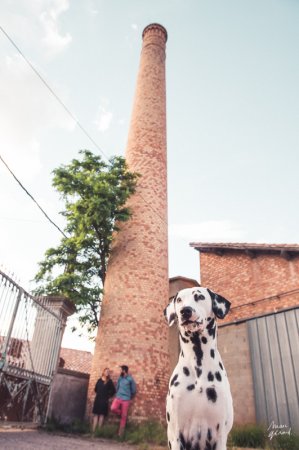 Séance engagement dans une ancienne distillerie