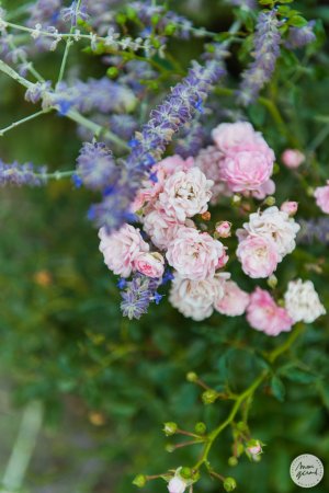 Photographe mariage Aigues Mortes
